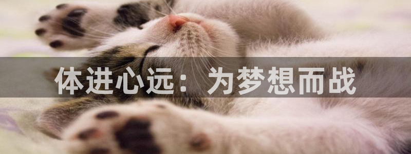 凯发官网下载招商电话地址是多少:体进心远:为梦想而战