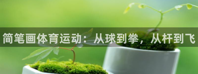 凯发官方正版app娱乐平台:简笔画体育运动:从球到拳,从杆到